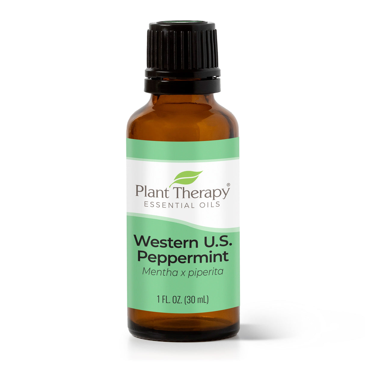 Western U.S. Peppermint Essential Oil from Plant Therapy