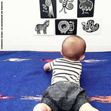 Art Cards for Baby - Woodland Collection From Wee Gallery
