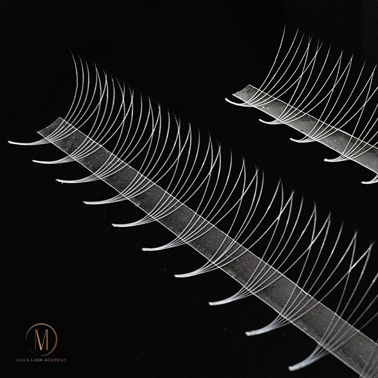 White 5D Rapid Promade Fans - 600 Fans from Mega Lash Academy