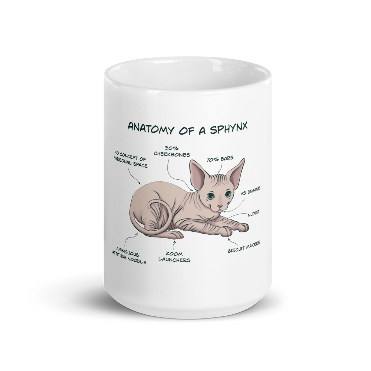 "ANATOMY OF A SPHYNX CAT" COFFEE MUG from ReNewedPet