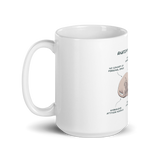 "ANATOMY OF A SPHYNX CAT" COFFEE MUG from ReNewedPet
