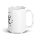 "ANATOMY OF A SPHYNX CAT" COFFEE MUG from ReNewedPet
