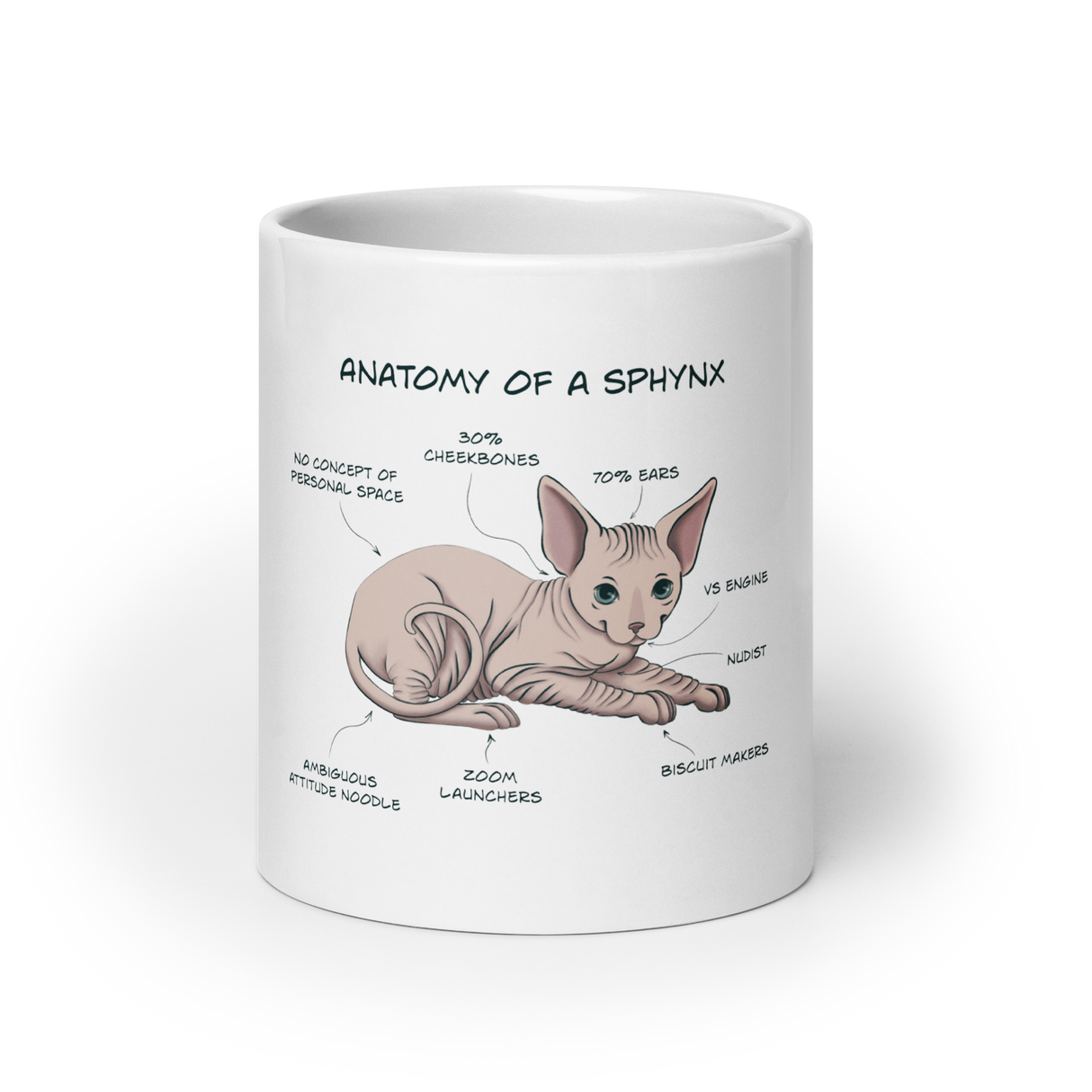 "ANATOMY OF A SPHYNX CAT" COFFEE MUG from ReNewedPet