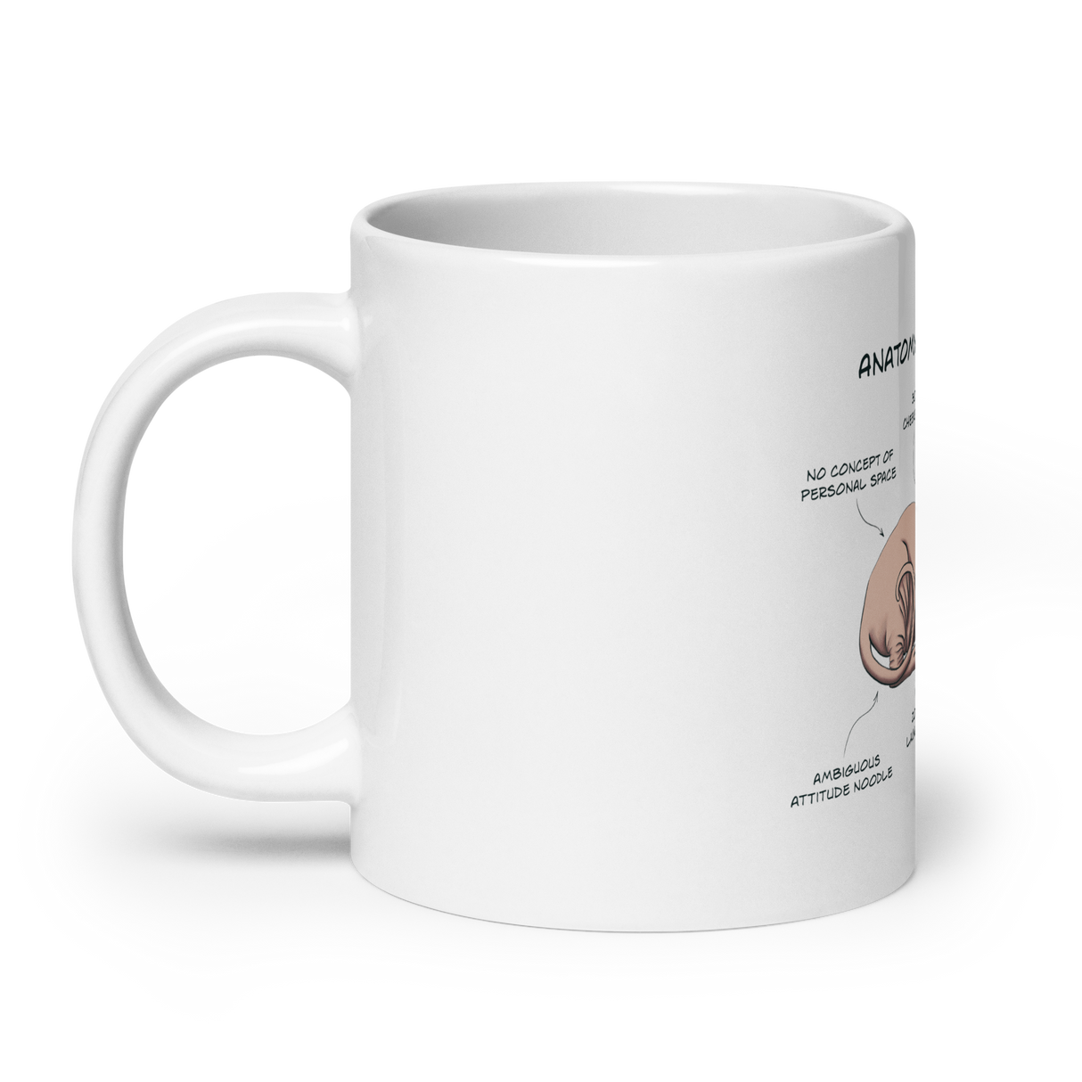 "ANATOMY OF A SPHYNX CAT" COFFEE MUG from ReNewedPet
