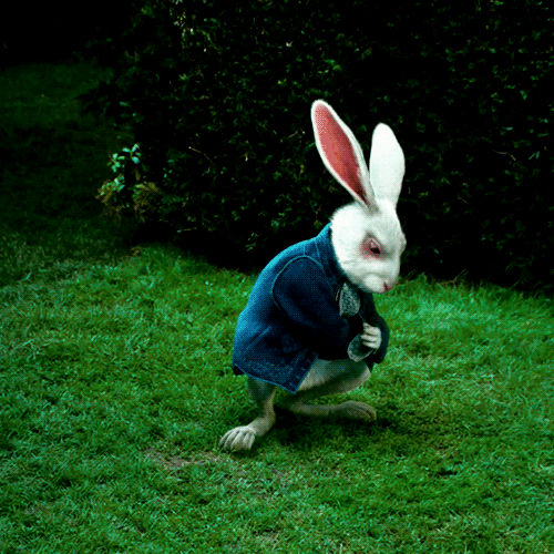White Rabbit from Wicked Good Perfume