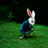White Rabbit from Wicked Good Perfume