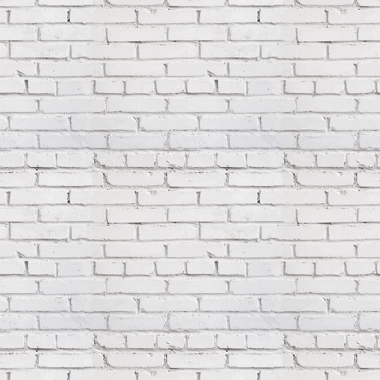 Beau Wallpaper from Loomwell Home Goods