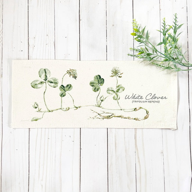 Botanical Panel: Shamrock St. Patrick's Farm Spring, Summer; WHITE CLOVER From PillowPanels