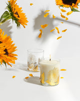 Wildflower From Wax Buffalo