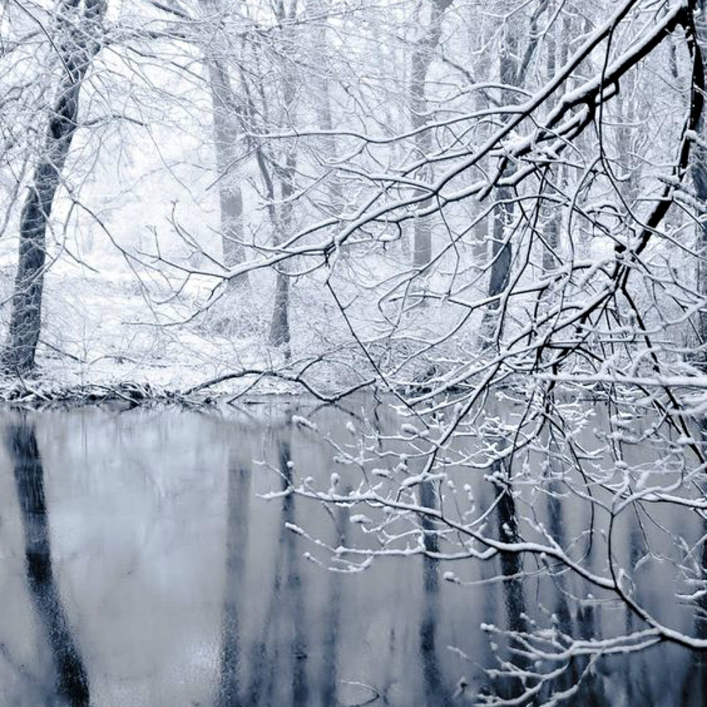 Winter Wonderland from Wicked Good Perfume