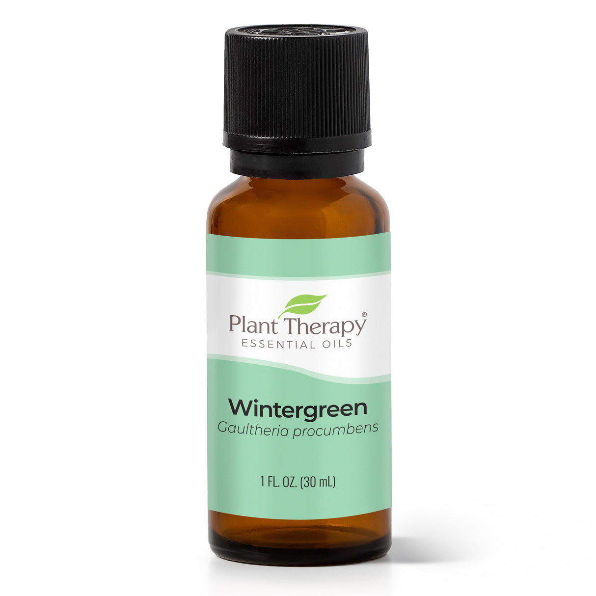 Wintergreen Essential Oil from Plant Therapy