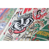 Wisconsin, University of Collegiate Embroidered Pillow by CatStudio from Quirks!