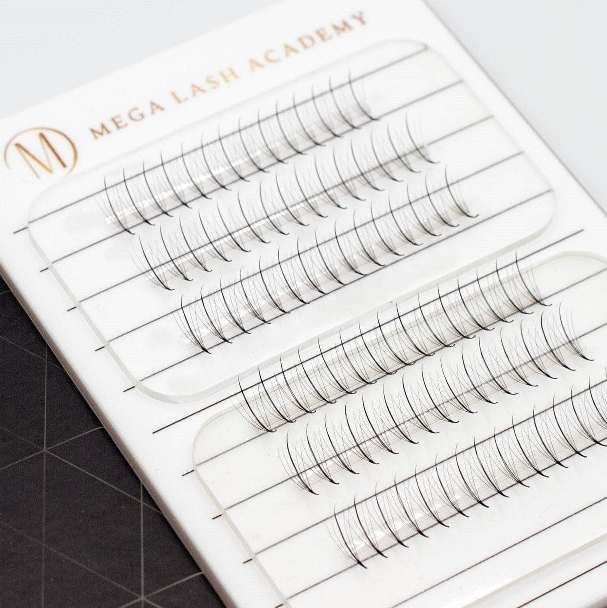 Wispy 5D Mix Rapid Promade Fans - 600 Fans from Mega Lash Academy