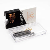 Wispy 5D Rapid Promade Fans - 500 Fans from Mega Lash Academy