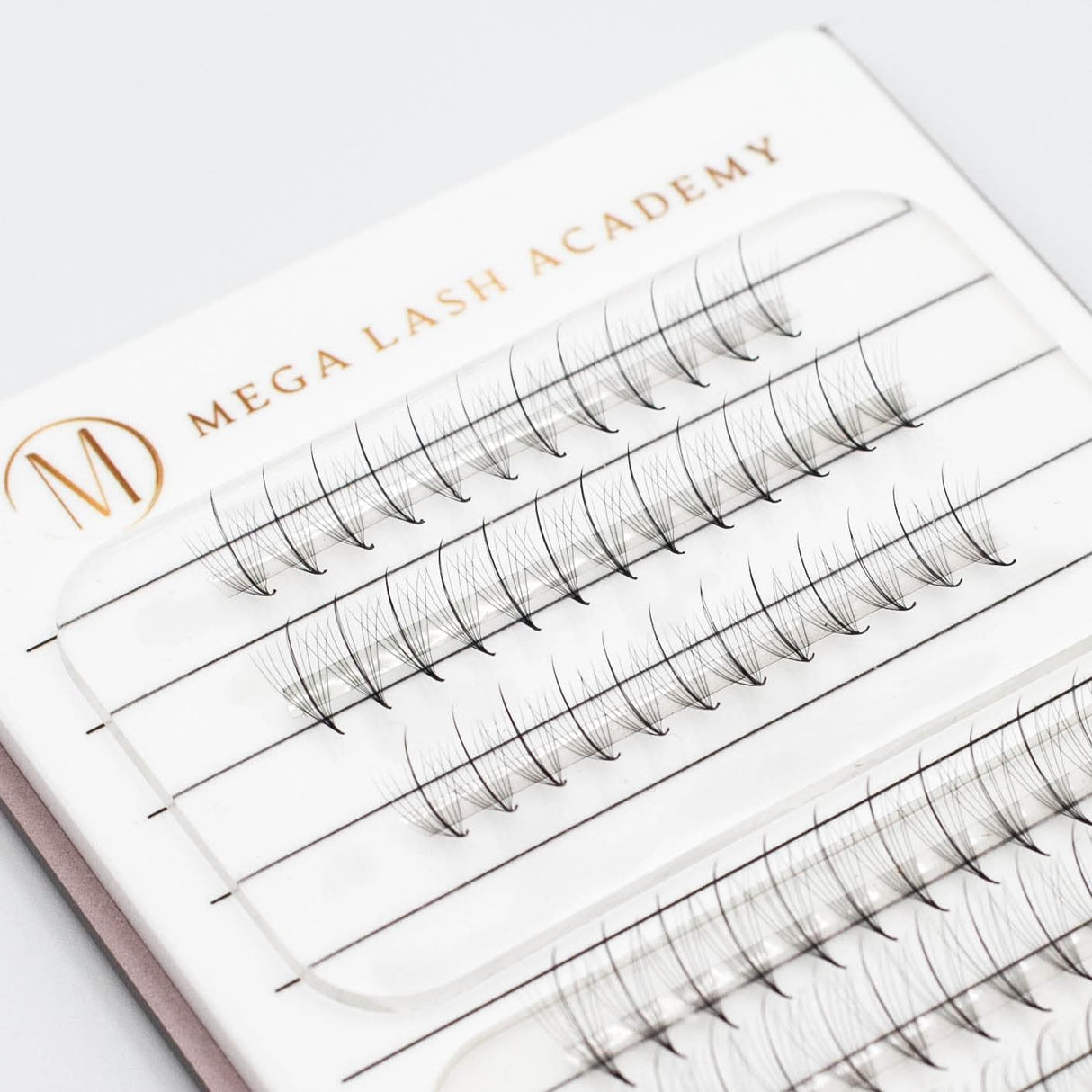 Wispy 9D Rapid Promade Fans - 500 Fans from Mega Lash Academy