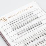 Wispy 9D Rapid Promade Fans - 500 Fans from Mega Lash Academy