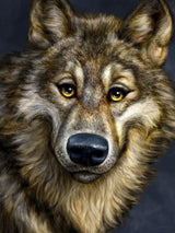 Wolf CS2574 11.8 x 15.8 inches Crafting Spark Diamond Painting Kit from Wizardi
