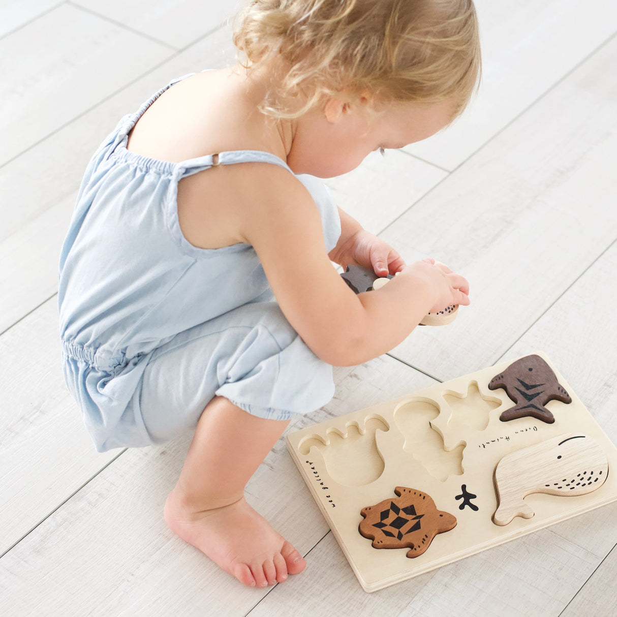 Ocean Explorer Bundle From Wee Gallery