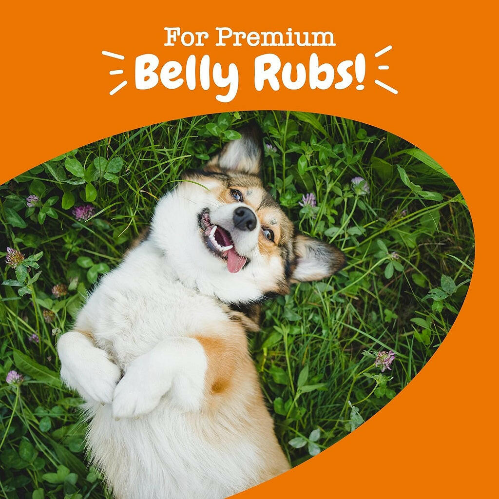 Zesty Paws Probiotic Bites Pumpkin Flavored Chews for Dogs (90 ct) from HardyPaw