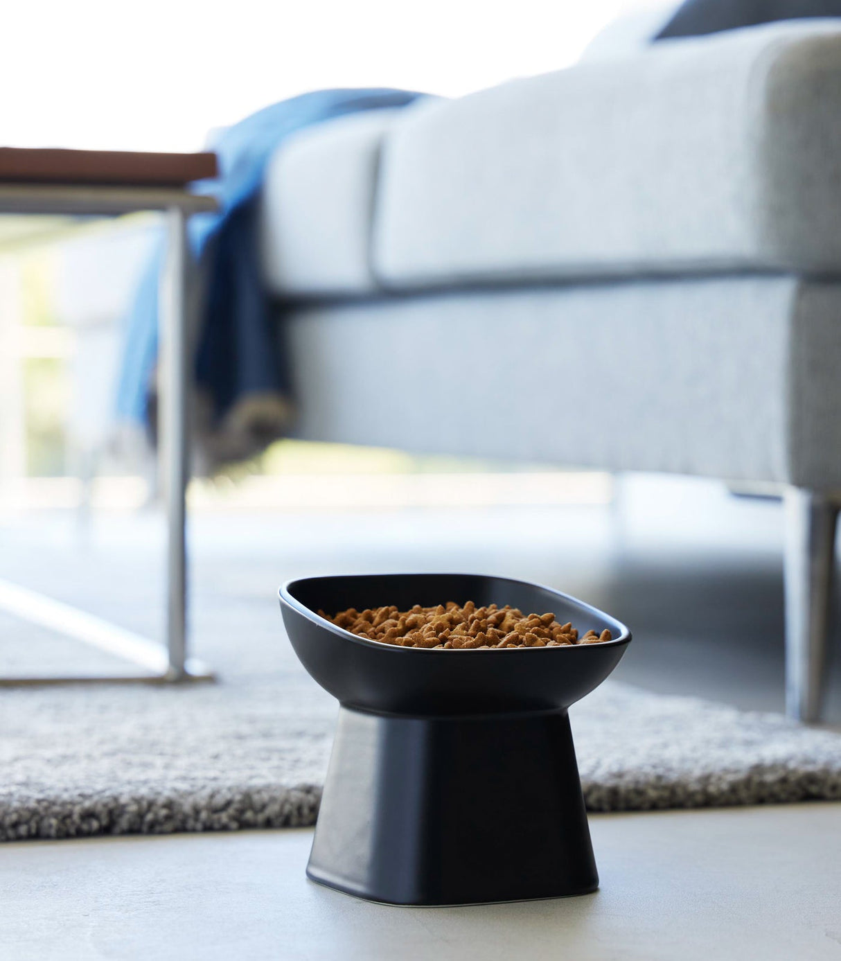 Tilted Pet Food Bowl from Yamazaki Home
