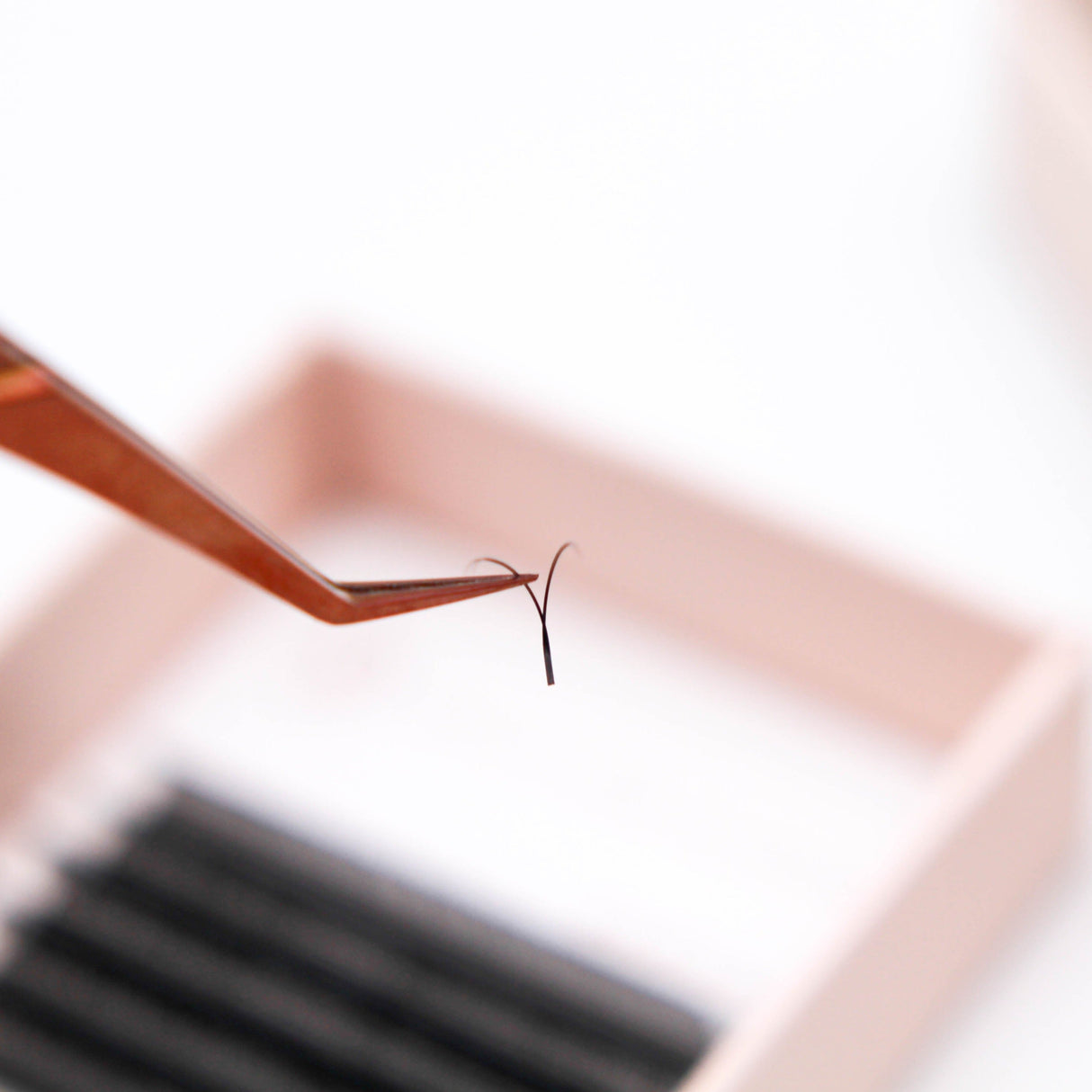 YY Lash Tray - Black from Mega Lash Academy
