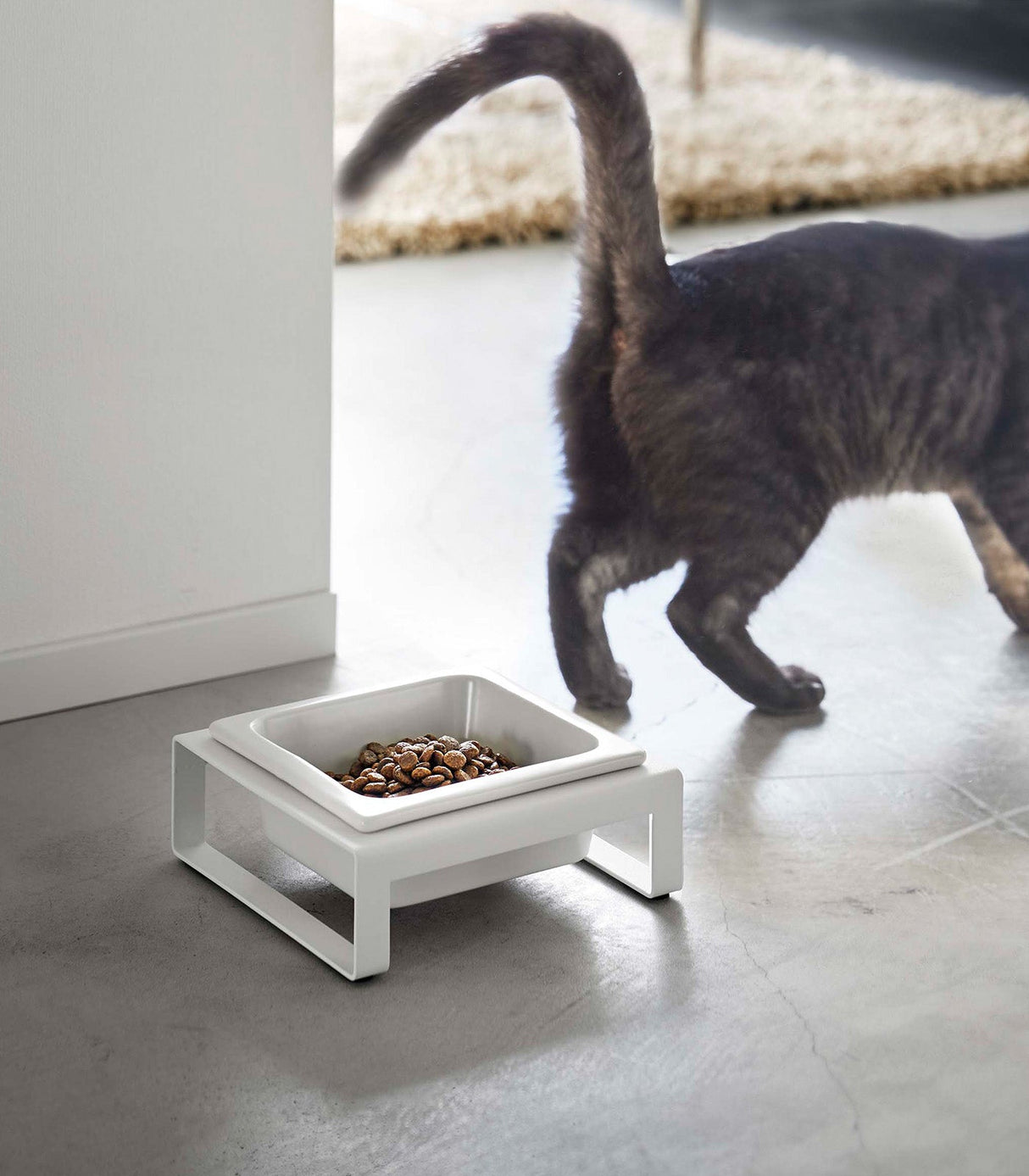 Single Pet Food Bowl - Two Styles - Steel + Ceramic from Yamazaki Home